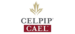 celpip-cael